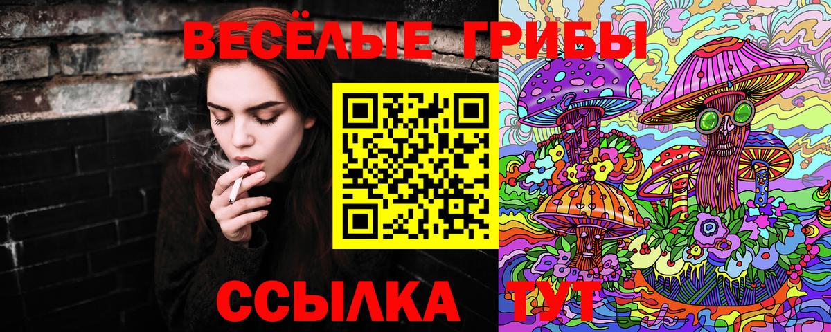 Великий Новгород  закладки  Псилоцибиновые грибы мицелий  Вход с VPN  Псилоцибиновые грибы мицелий 