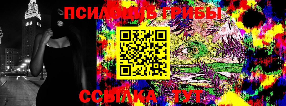 Галлюциногенные грибы Psilocybine cubensis Великий Новгород